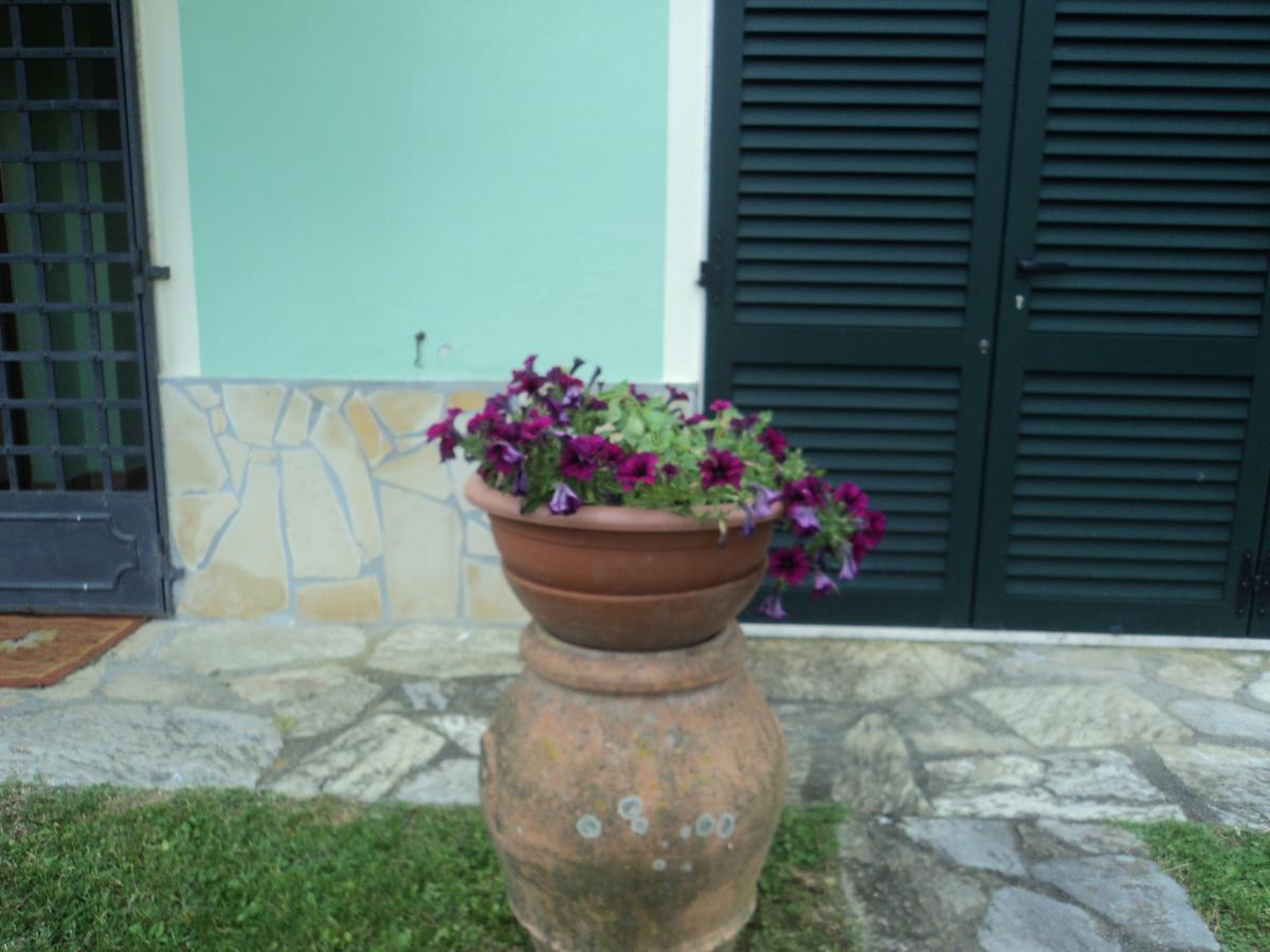 בית הארחה San Macario In Piano 	Casa Le Sorelline מראה חיצוני תמונה