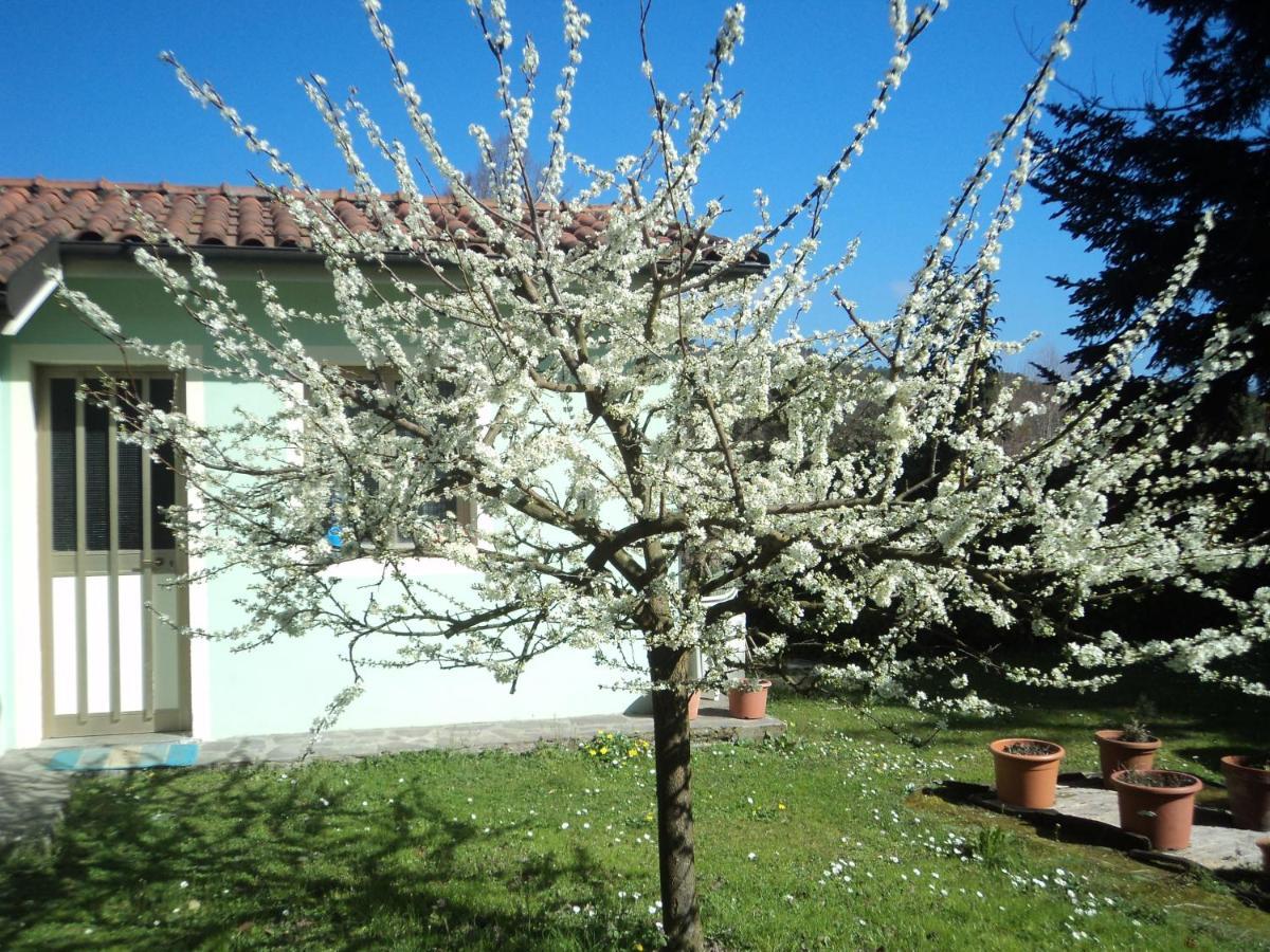 בית הארחה San Macario In Piano 	Casa Le Sorelline מראה חיצוני תמונה